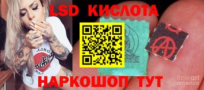 spice Нарткала