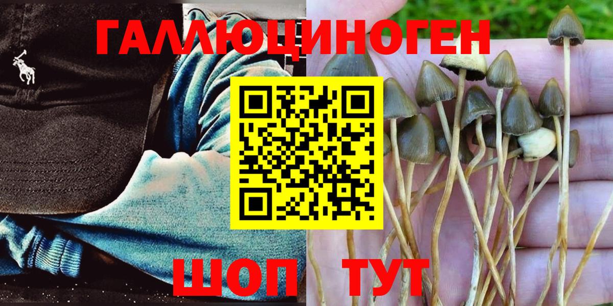Курганинск  Галлюциногенные грибы ЛСД  Псилоцибиновые грибы Psilocybe  Вход с VPN 